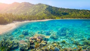 Inilah Tips Travelling Terbaik ke Lombok